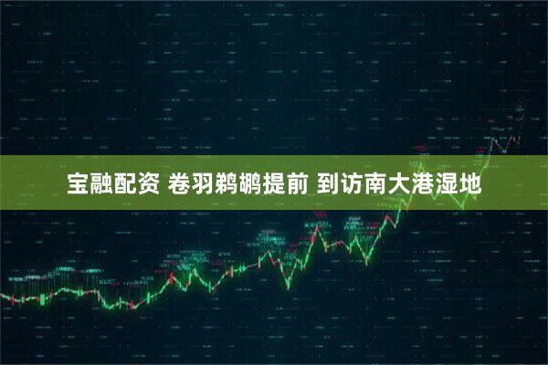 宝融配资 卷羽鹈鹕提前 到访南大港湿地