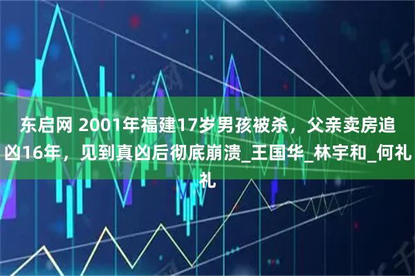 东启网 2001年福建17岁男孩被杀，父亲卖房追凶16年，见到真凶后彻底崩溃_王国华_林宇和_何礼