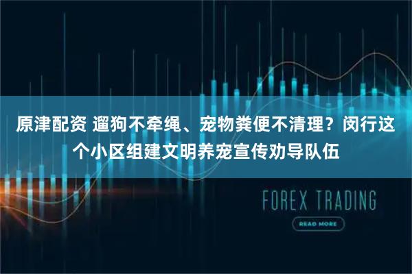 原津配资 遛狗不牵绳、宠物粪便不清理？闵行这个小区组建文明养宠宣传劝导队伍